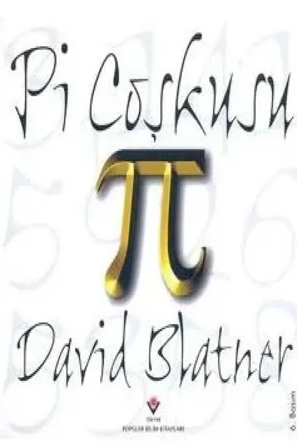 Pi Coşkusu