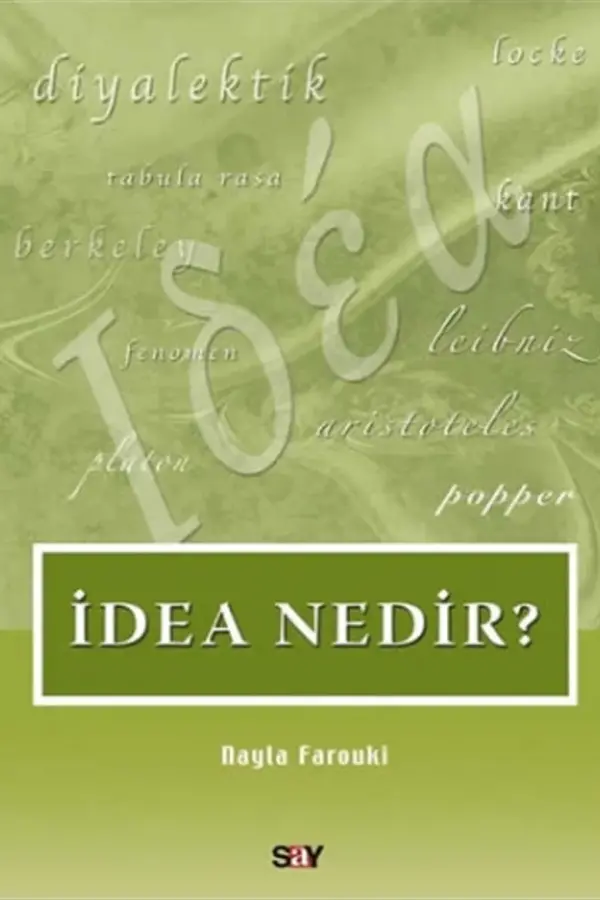 İdea Nedir?