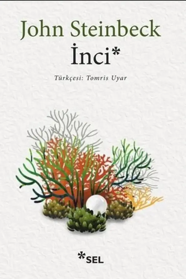 İnci