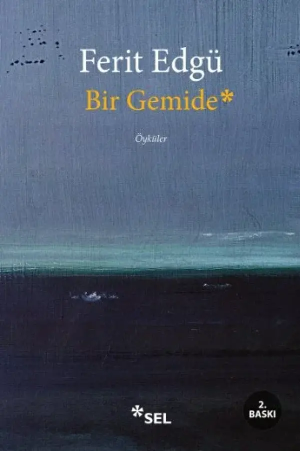 Bir Gemide
