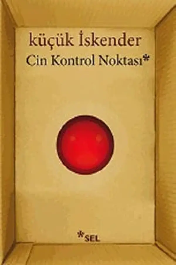 Cin Kontrol Noktası